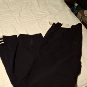 Roz & Ali Classic Black Ankle Pants